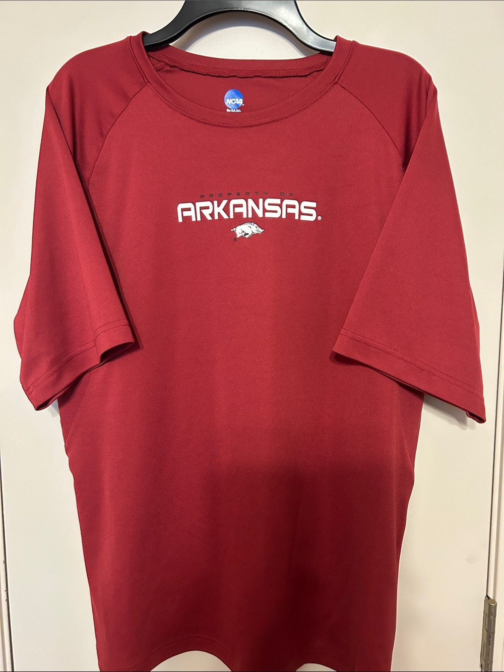 NCAA Arkansas Short Sleeve Team Tee in Cardinal